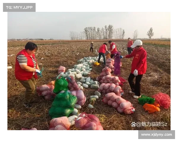 足球场上的果实:助农项目解救滞销水果 足球场上的果实:助农项目解救滞销水果